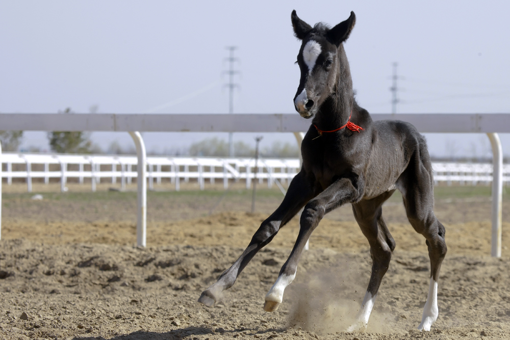 圖片關(guān)鍵詞 圖片關(guān)鍵詞