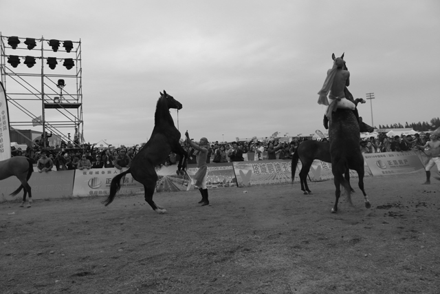 圖片關鍵詞 圖片關鍵詞