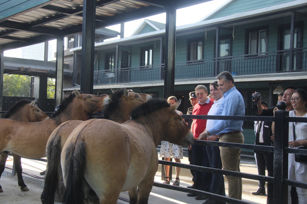 圖片關(guān)鍵詞 圖片關(guān)鍵詞