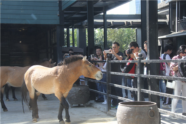 圖片關鍵詞 圖片關鍵詞