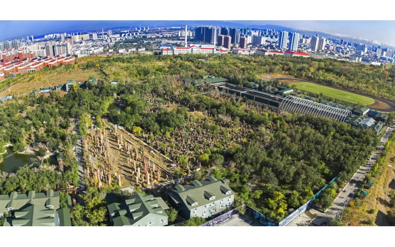 新疆馬術(shù)運(yùn)動協(xié)會成立