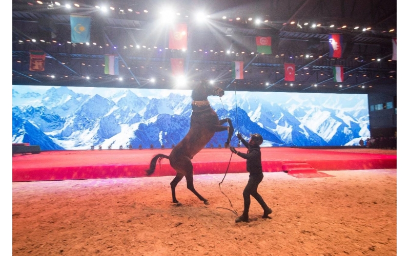 住馬酒店、吃馬肉腸、喝馬奶粉、品馬奶酒--