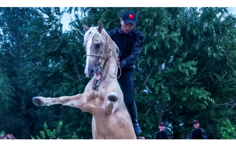 北屯市185團(tuán)巡游